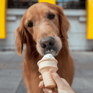 Avoid Unsafe Summer Foods