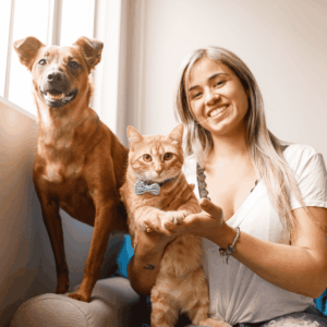 Hire the Pet Professoinals Today!