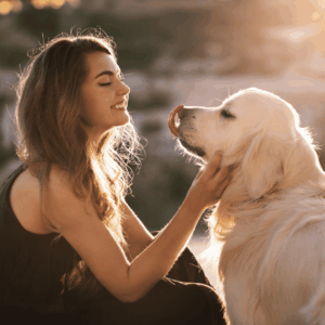 Keep Your Dog Cool All Summer Long