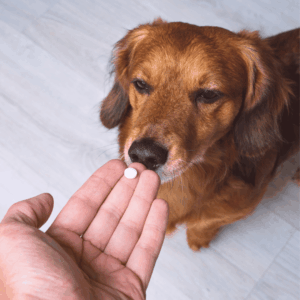 Medication Administration (If Needed)