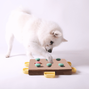 What Counts as Enrichment for Dogs