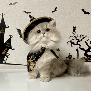 Choose Pet Costumes Carefully